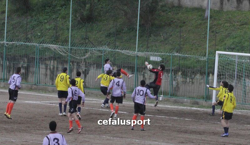 120310 stefanese 174y_tn.jpg